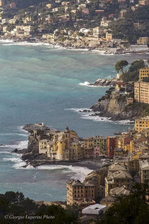 Appartamento La casa di Francy Camogli Italia