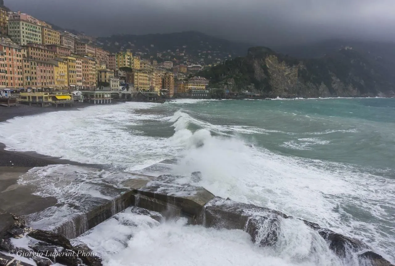 Appartamento La casa di Francy Camogli Italia