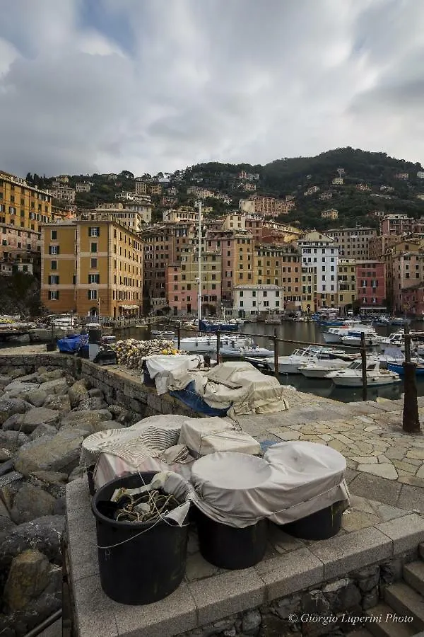 Appartamento La casa di Francy Camogli