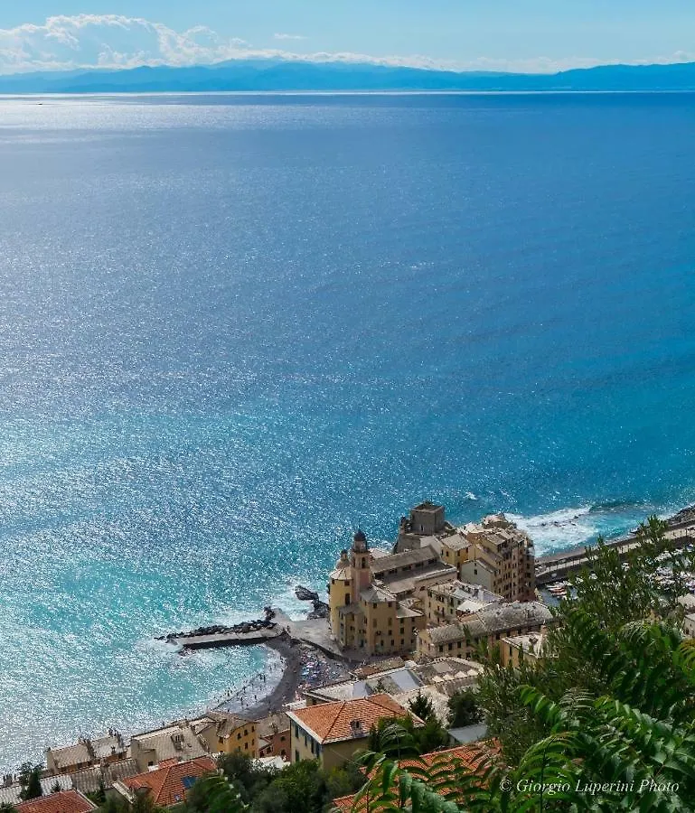 Appartamento La casa di Francy Camogli