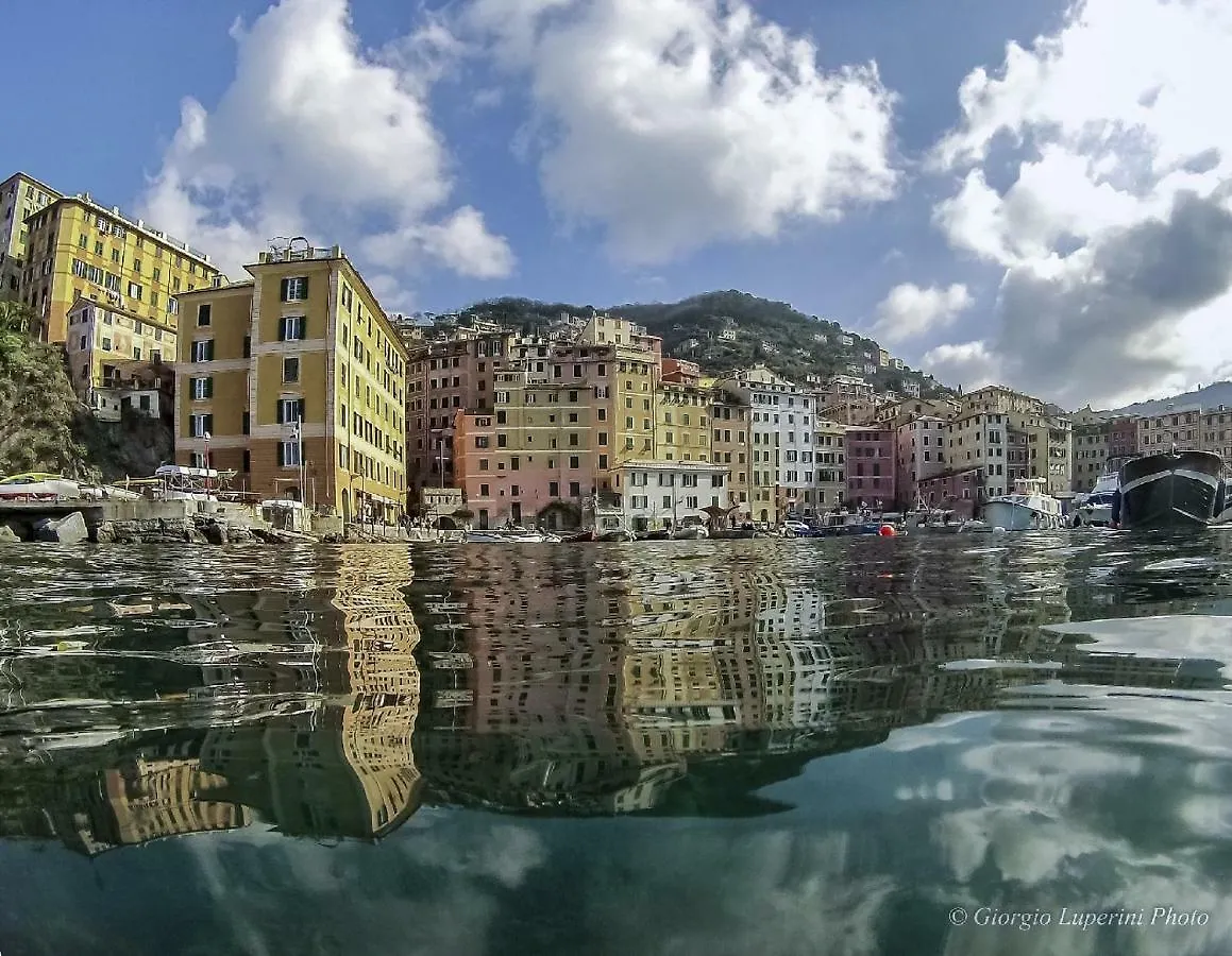 Appartamento La casa di Francy Camogli Italia