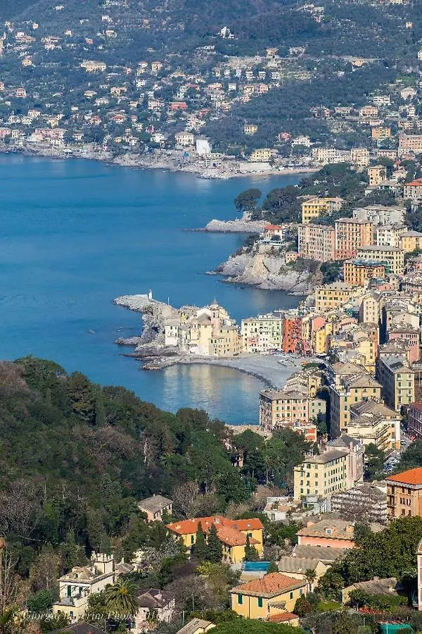 Appartamento La casa di Francy Camogli
