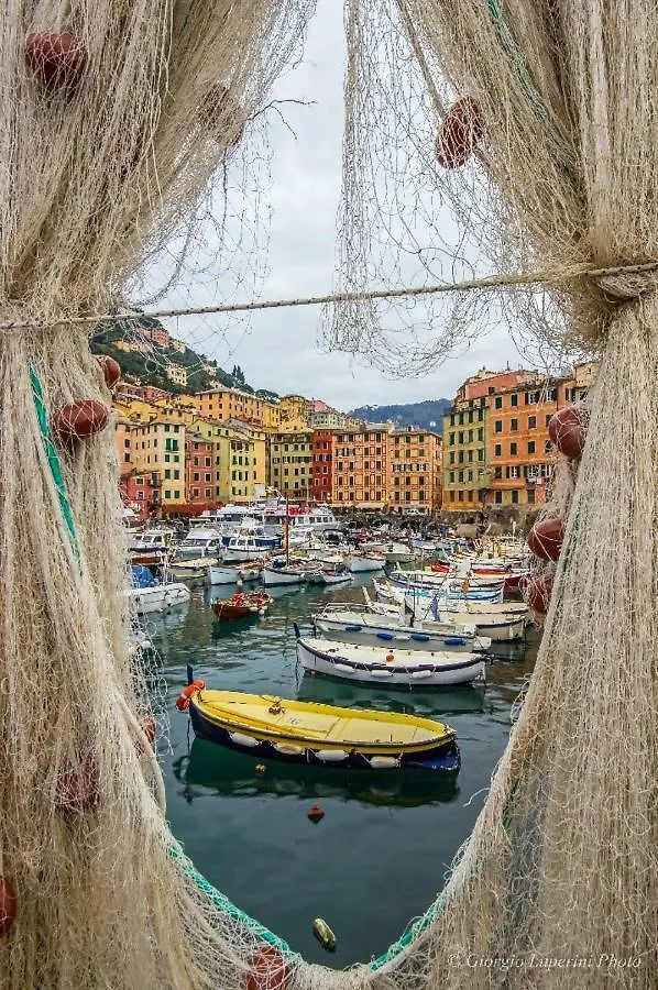 Appartamento La casa di Francy Camogli